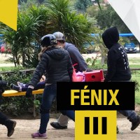 FenixIII